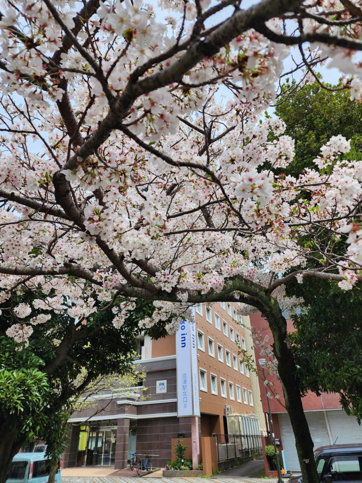 Toyoko Inn Fujisan Numazu Eki Kita Guchi No 2 Dış mekan fotoğraf